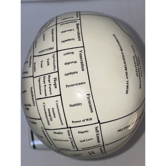Phrenology Head Psychology L.N. Fowler, Royale Stratford Hand Made England - Picture 16 of 16